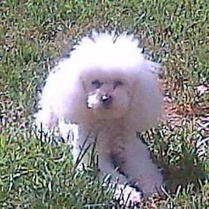 Meet your Posher, Colby